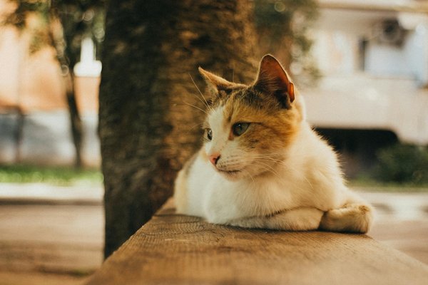 How Does the Current Economic Climate Impact Property Investment Decisions in the UK?